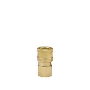 1/8" Brass ST Series Coupling